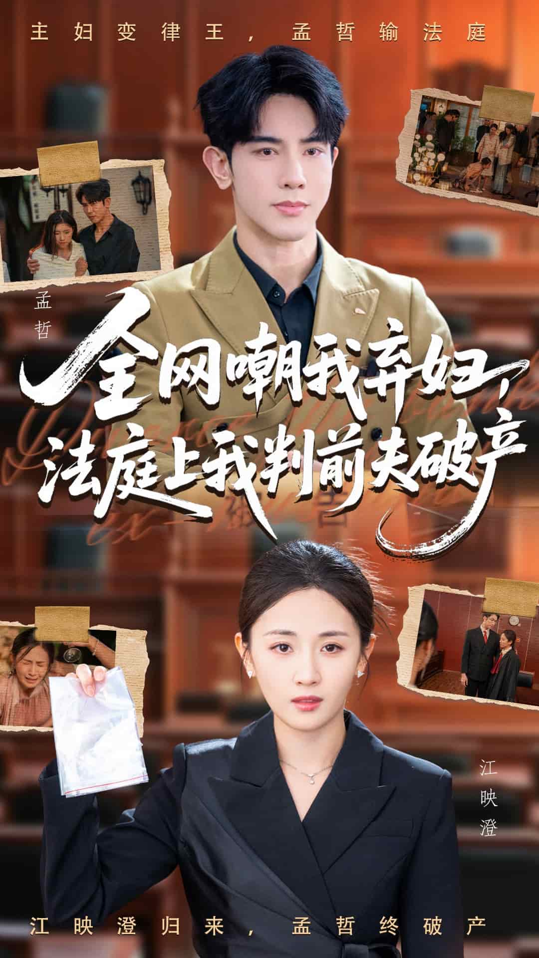 全网嘲我弃妇法庭上我判前夫破产 高清封面