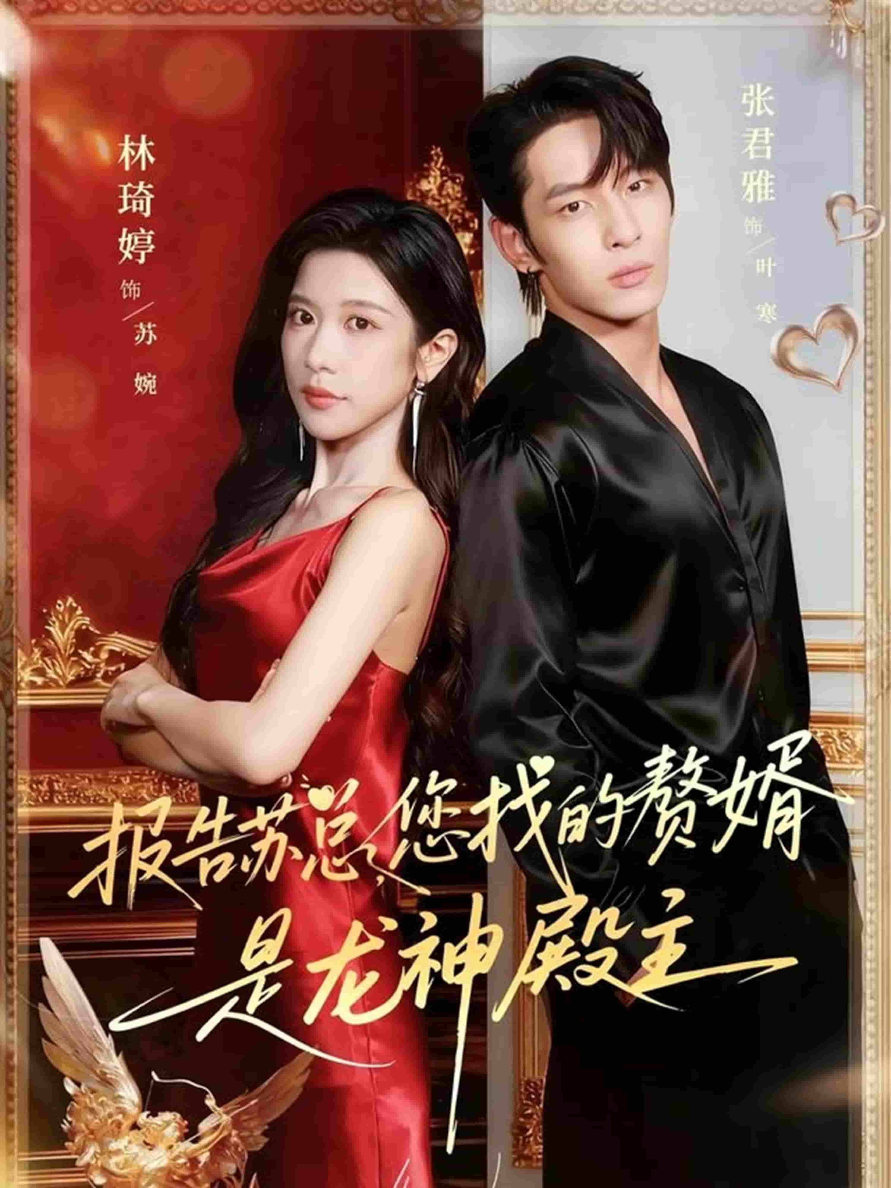 报告苏总，您找的赞婿是龙神殿主 高清封面