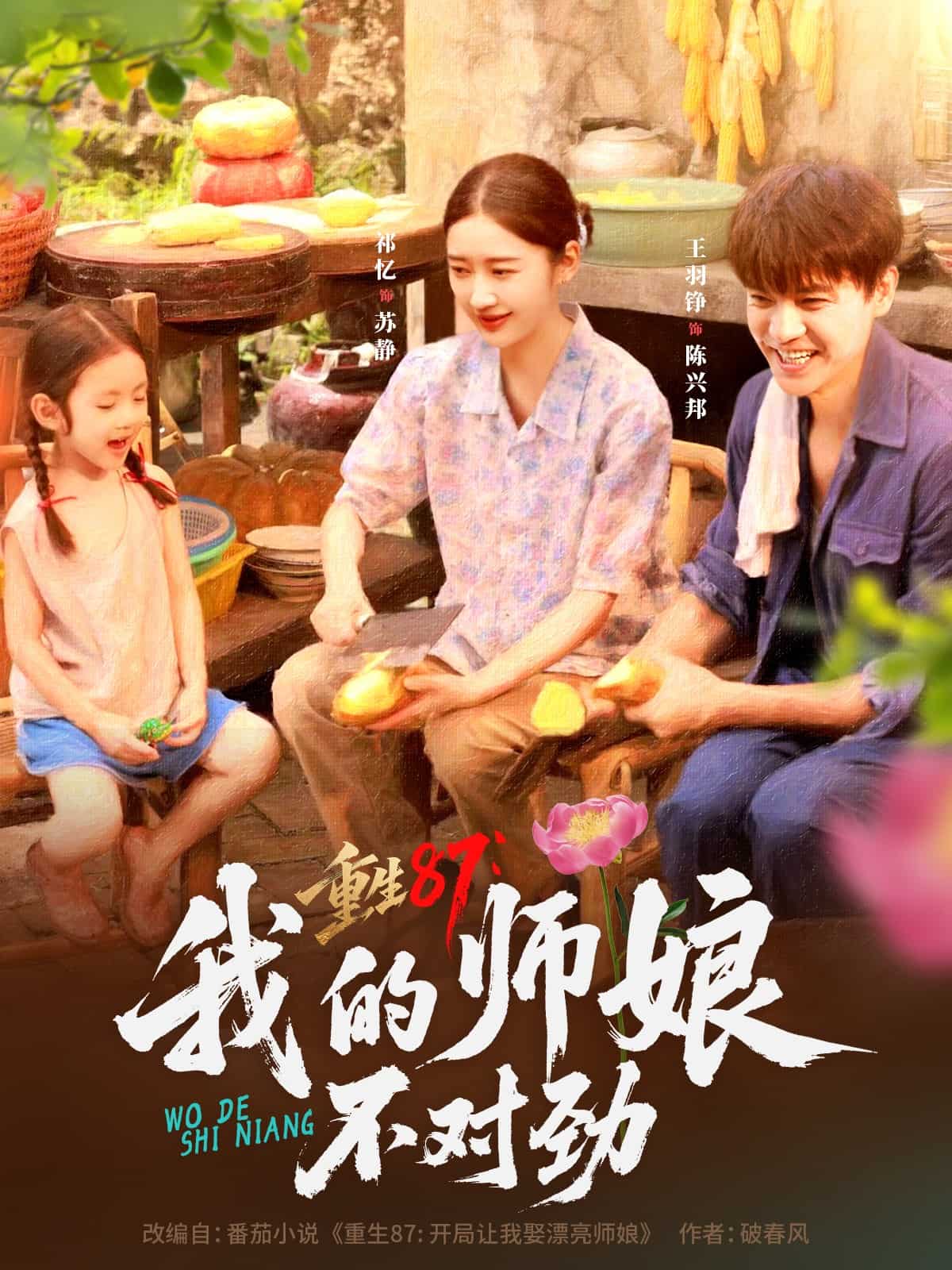 重生87我的师娘不对劲 高清封面