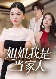 姐姐我是当家人 高清封面
