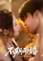 不期而婚 高清封面
