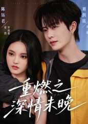 重燃之深情未晚 高清封面