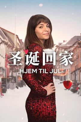 圣诞寻伴第3季 封面