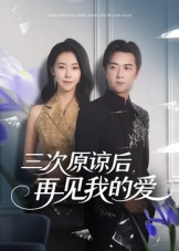 三次原谅后再见我的爱 高清封面