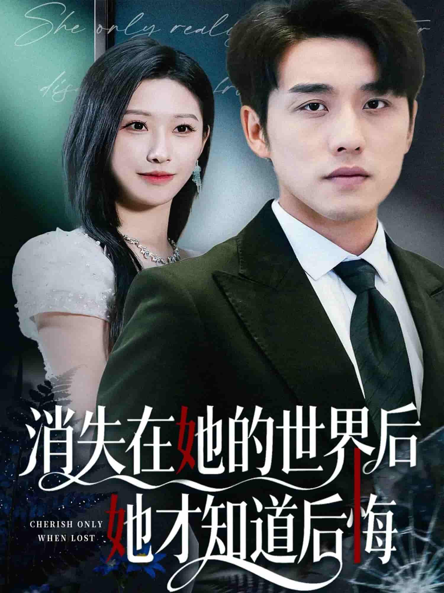 消失在她的世界后她才知道后悔 高清封面