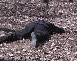 大明嫔妃之逐鹿 封面