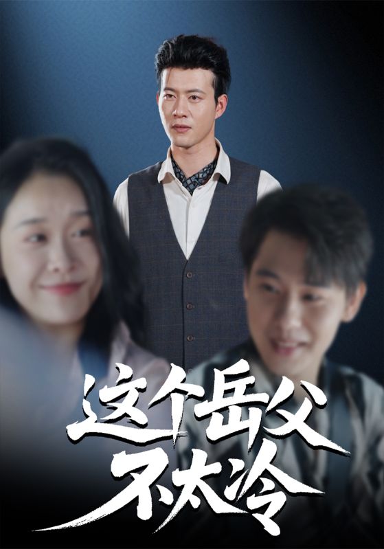 这个岳父不太冷 封面