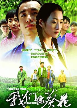 我们像葵花 封面