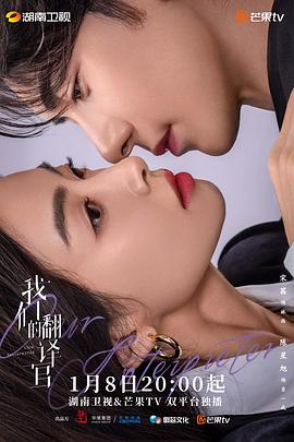 我们的翻译官 封面