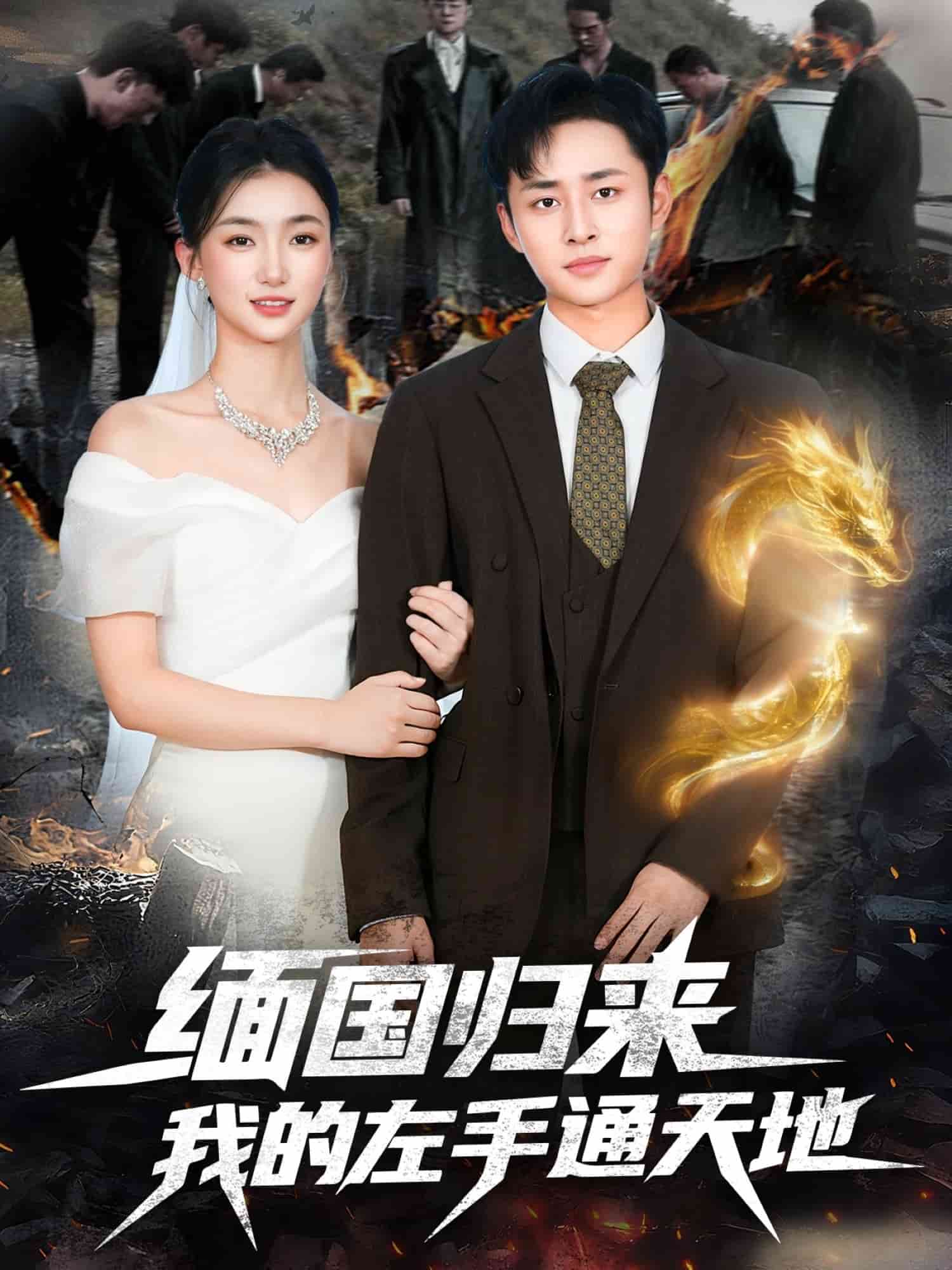 缅国归来我的左手通天地 高清封面