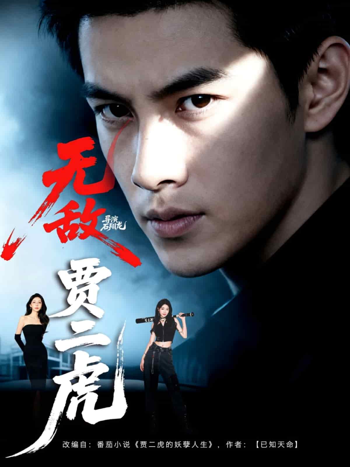 无敌贾二虎 高清封面