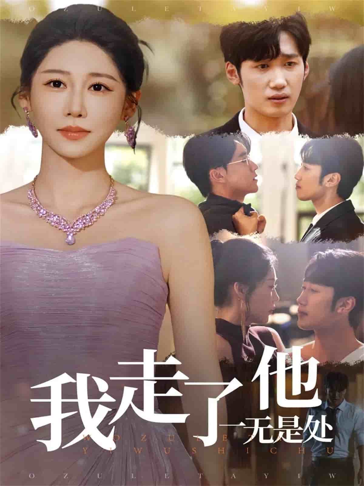 我走了他一无是处 高清封面