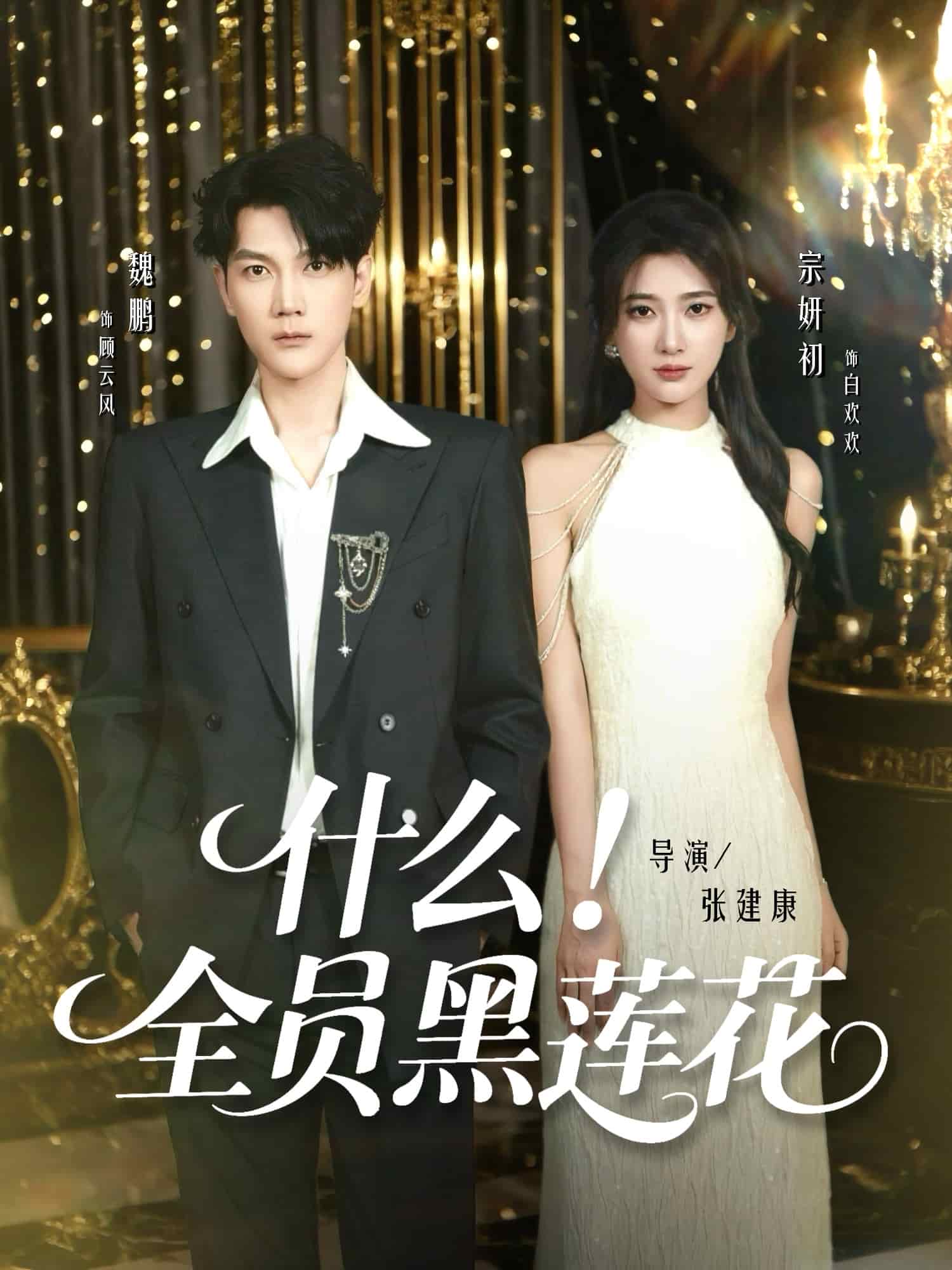 什么全员黑莲花 高清封面