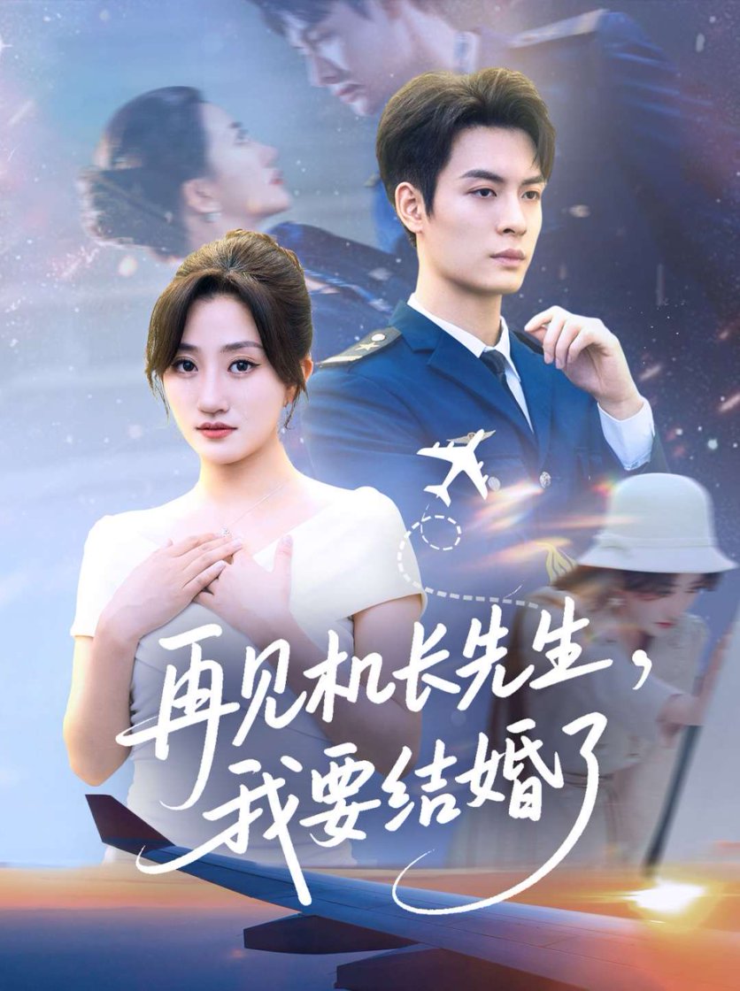 再见机长先生，我要结婚了 高清封面