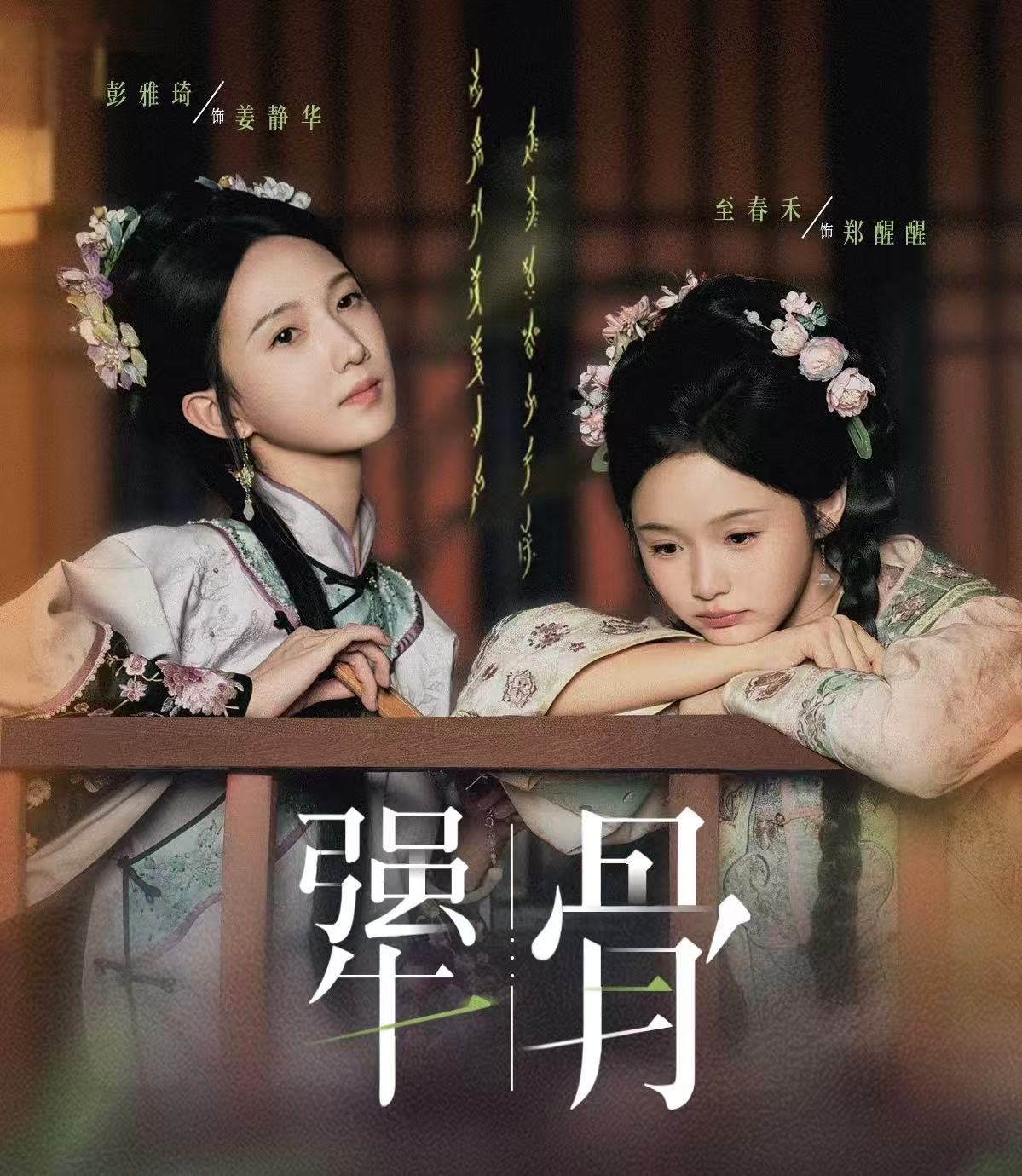 犟骨2 高清封面