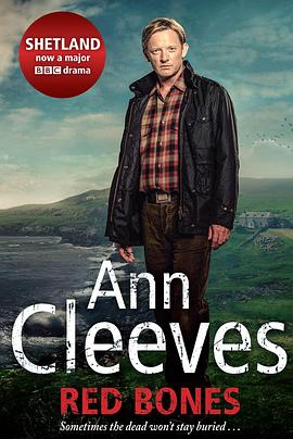 设得兰谜案第一季 高清封面