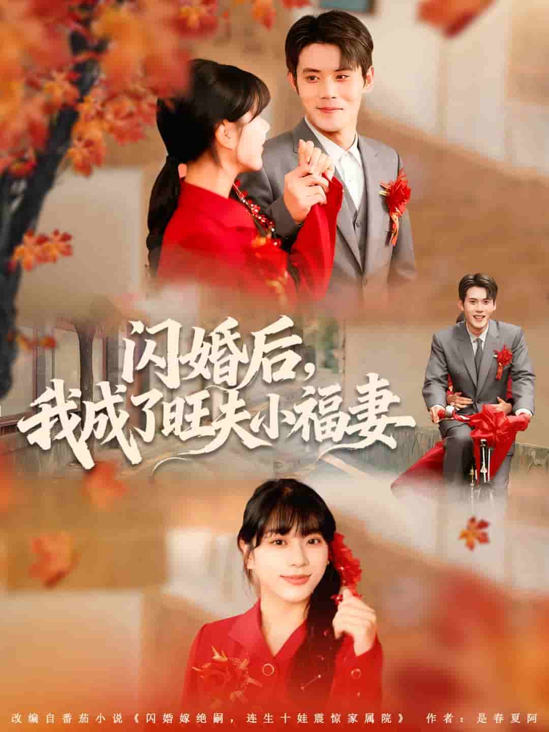 闪婚后我成了旺夫小福妻 高清封面