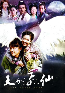 天外飞仙 封面