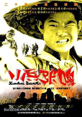 小兵张嘎2004 封面