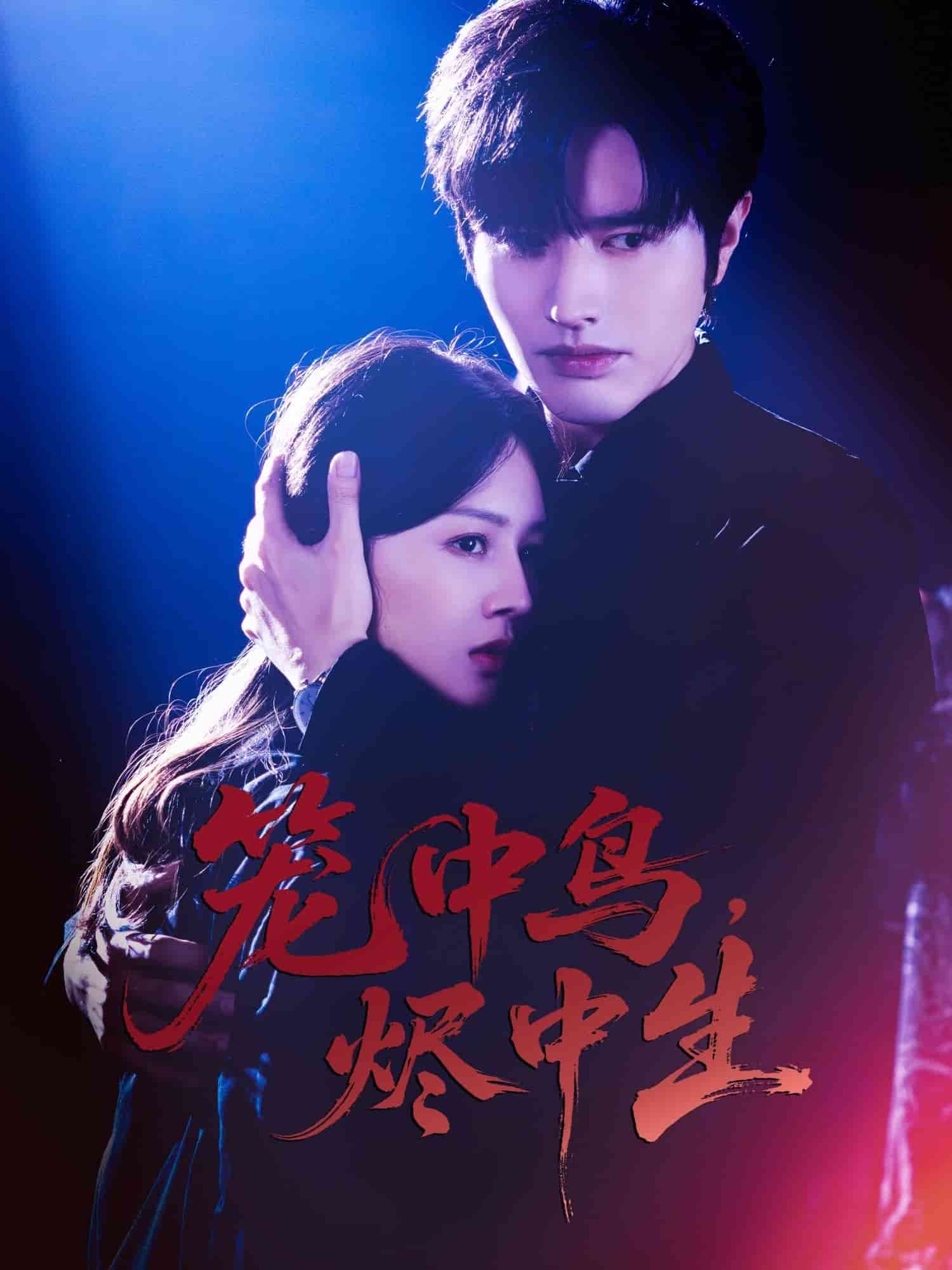 [searchlist:name] 封面