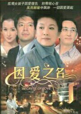 因爱之名 封面