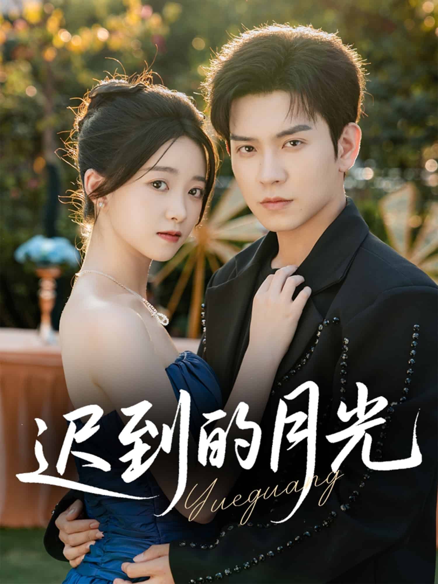 迟到的月光 高清封面