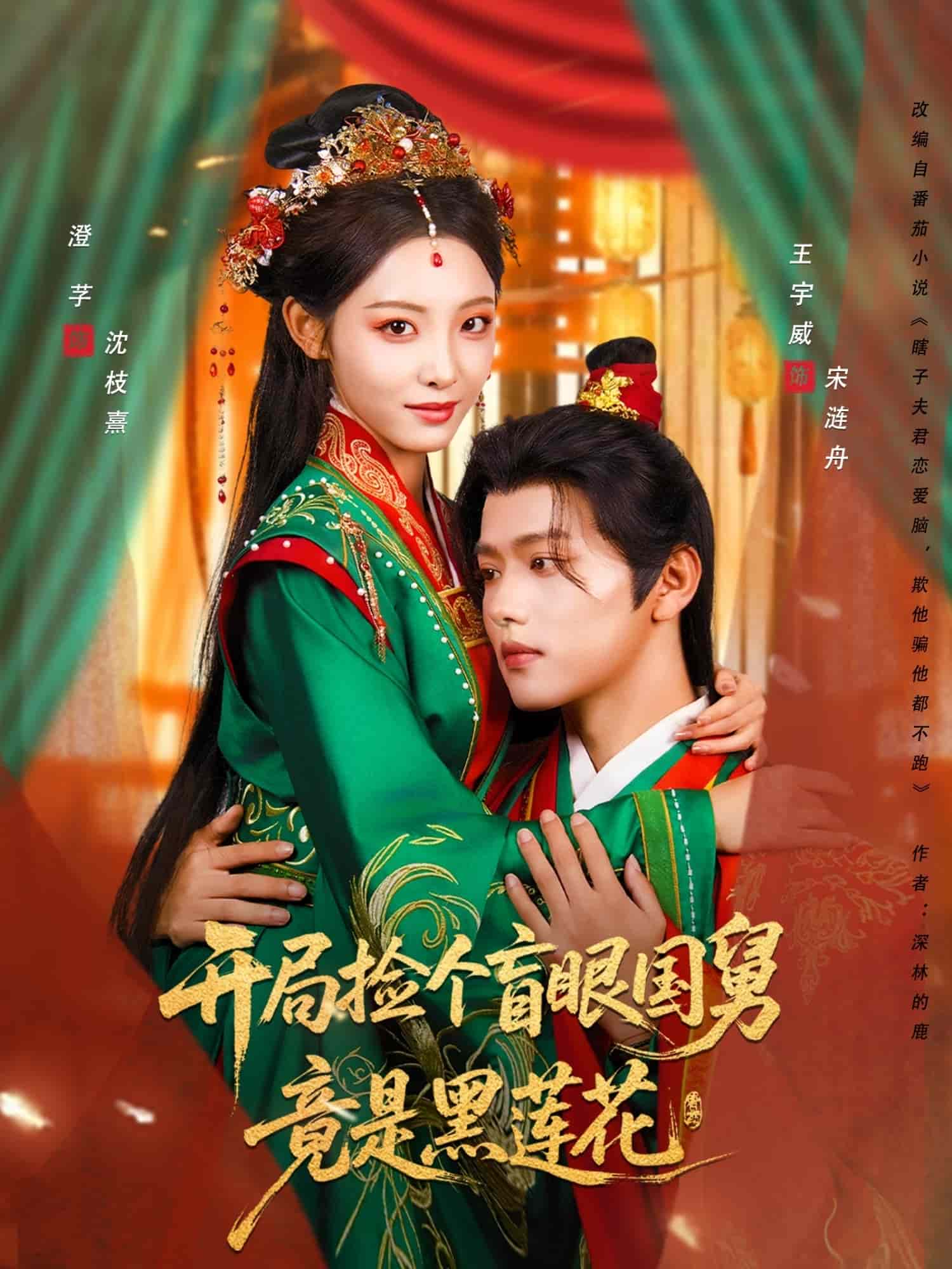 开局捡个盲眼国舅竟是黑莲花 高清封面