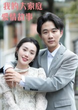我的大家庭爱情故事 高清封面