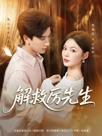 解救厉先生 高清封面