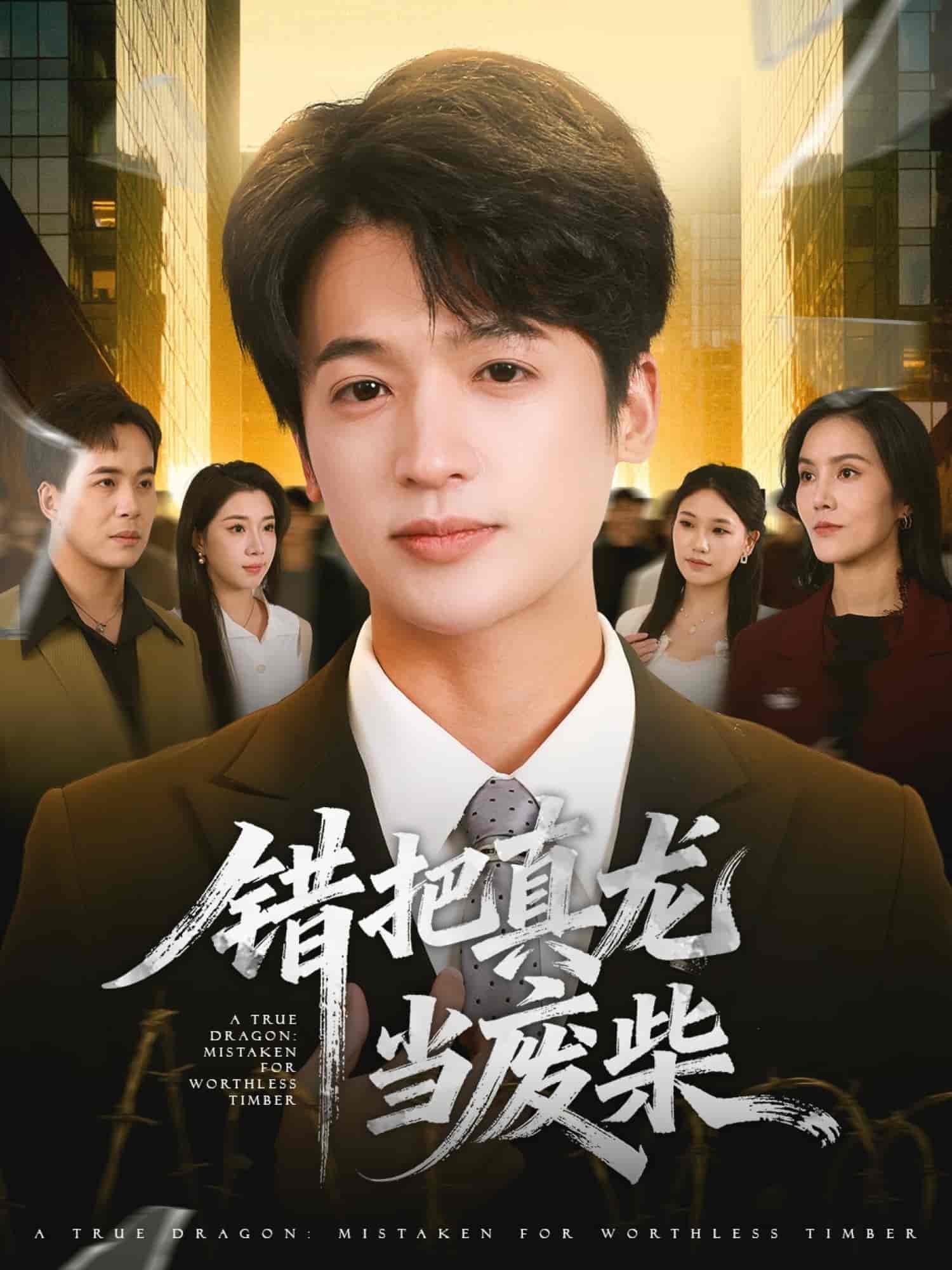 错把真龙当废柴 高清封面