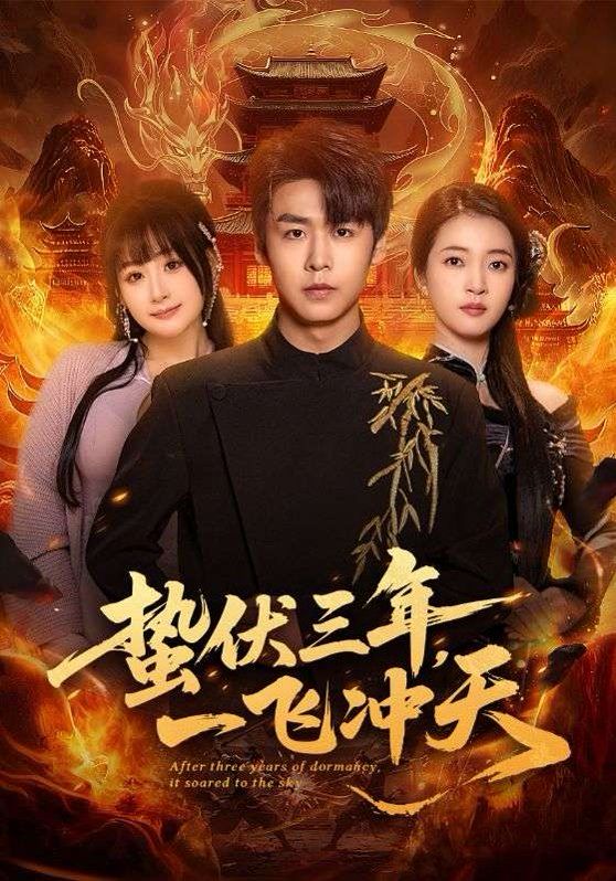 蛰伏三年，一飞冲天 高清封面