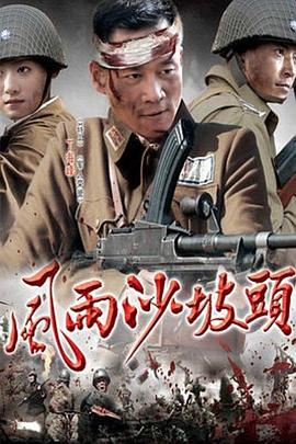 风雨沙坡头 封面