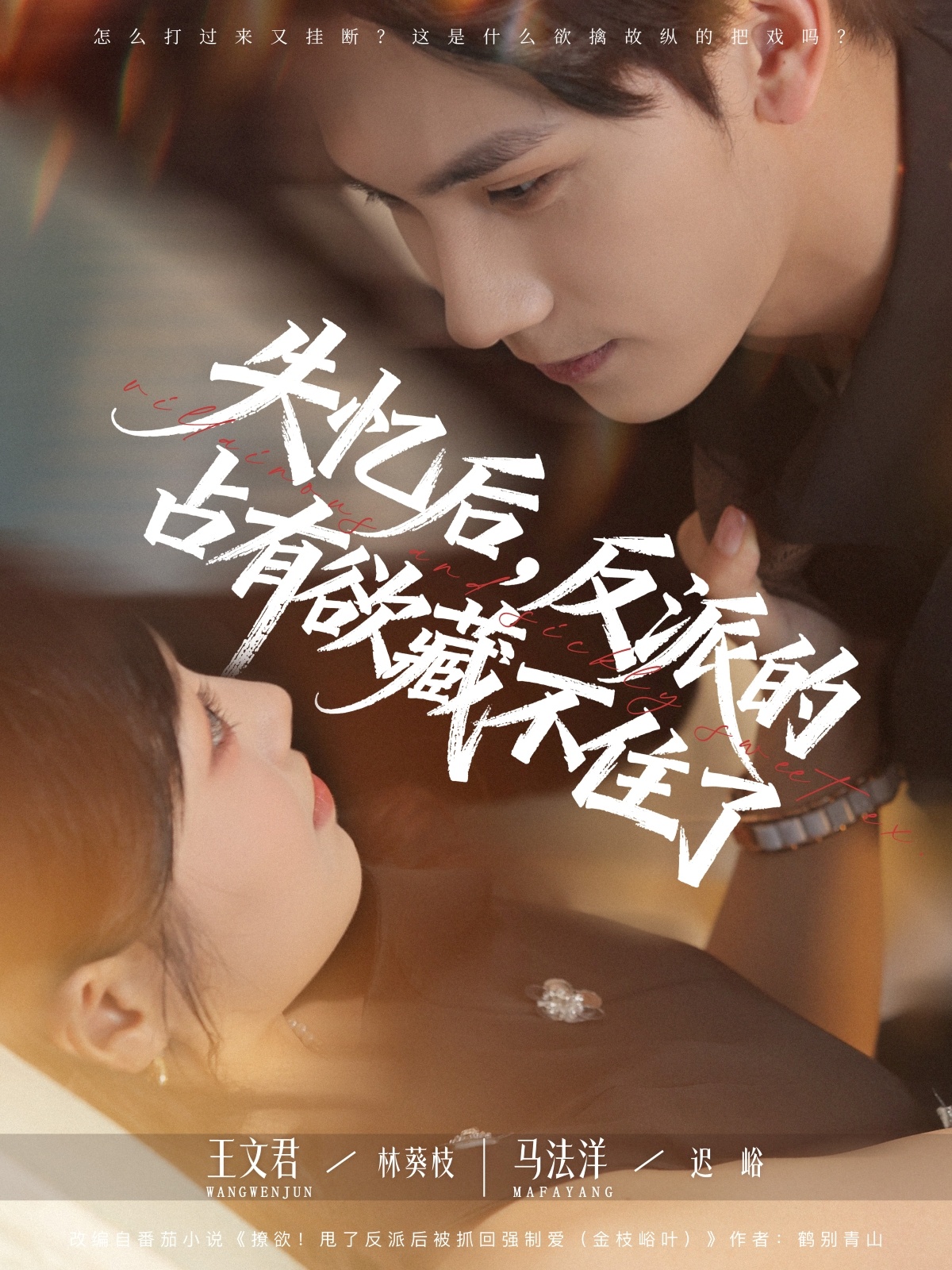 失忆后反派的占有欲藏不住了 高清封面