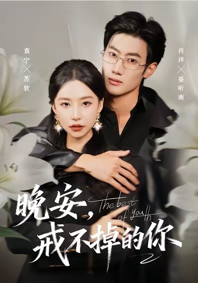 晚安戒不掉的你 高清封面