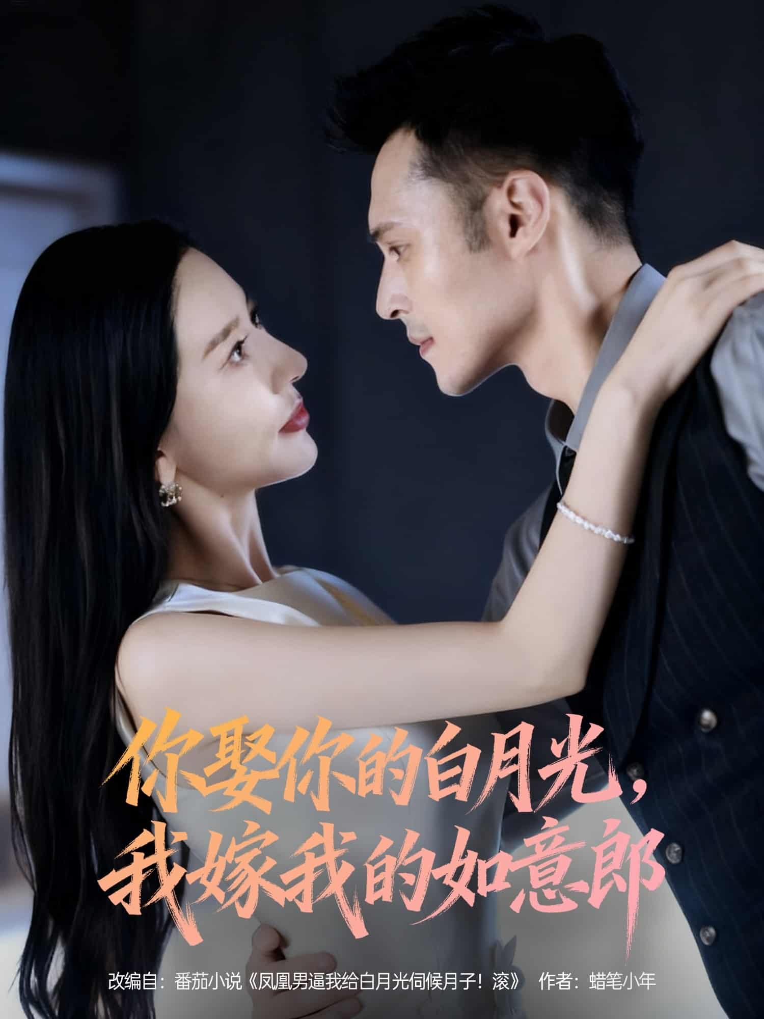 你娶你的白月光我嫁我的如意郎 高清封面