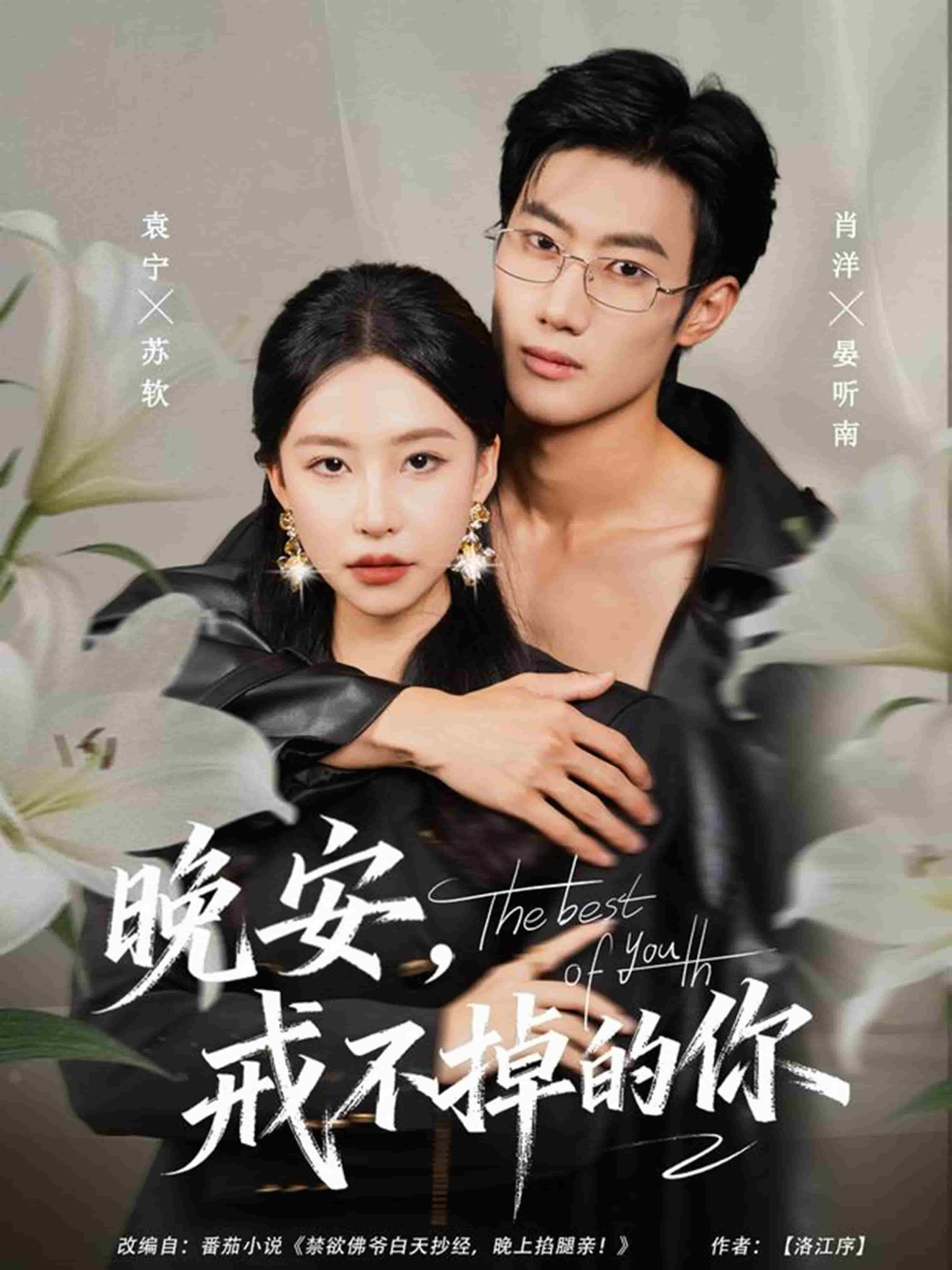 晚安，戒不掉的你 高清封面