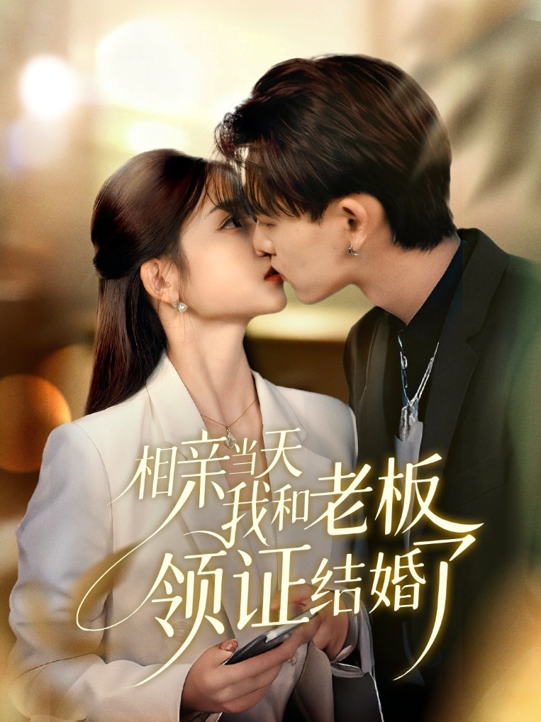 相亲当天我和老板领证结婚了 高清封面