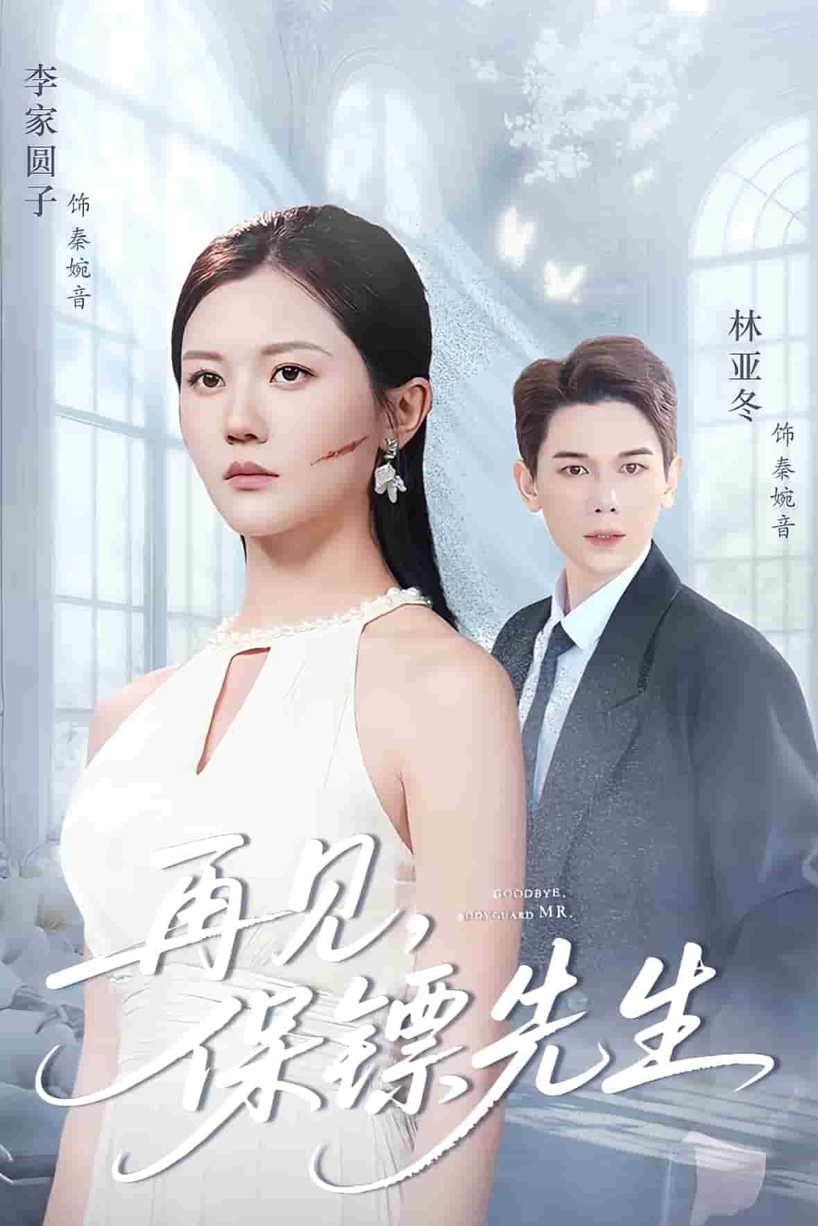 保镖先生我不要你了 高清封面