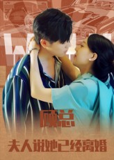 顾总，夫人说她已经离婚 高清封面