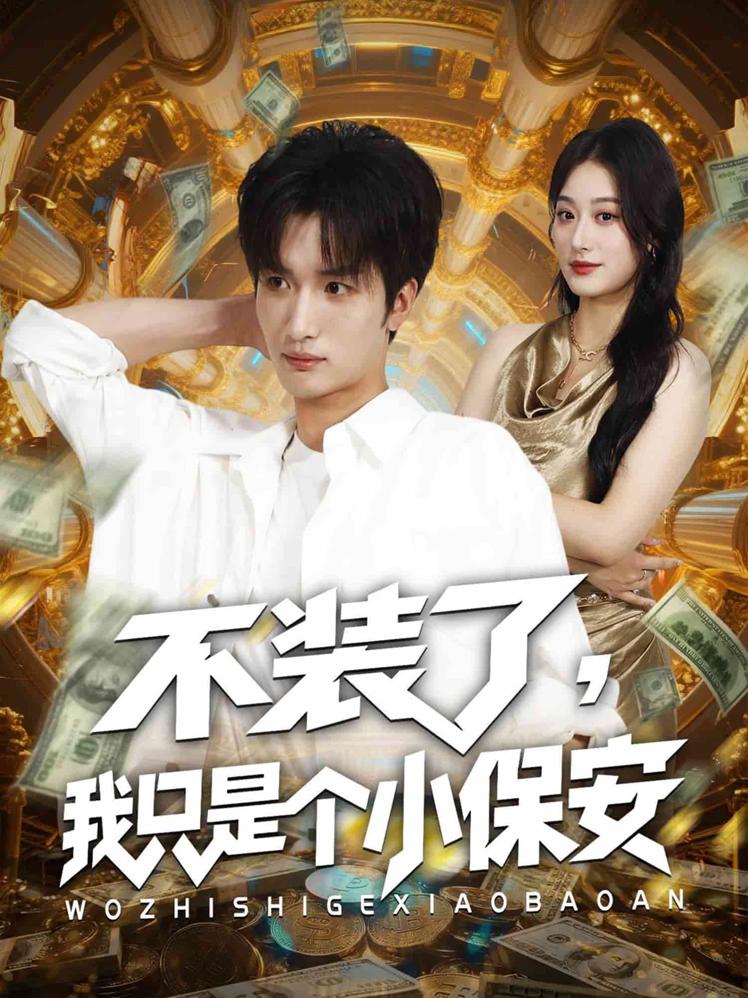 不装了我只是个小保安 高清封面