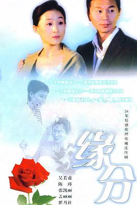 缘分的天空 封面