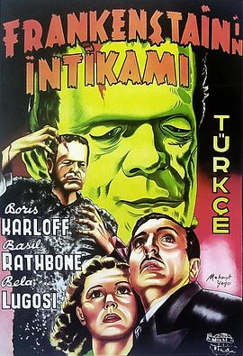 科学怪人之子 高清封面