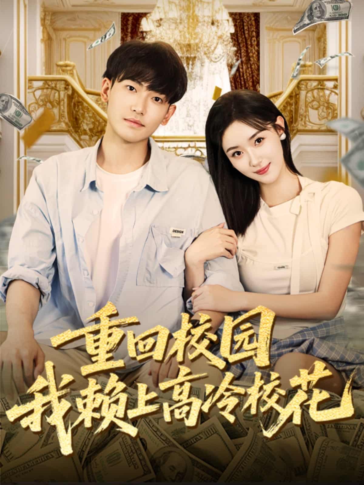 重回校园我赖上高冷校花 高清封面