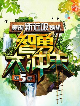 智勇大冲关第五季 封面