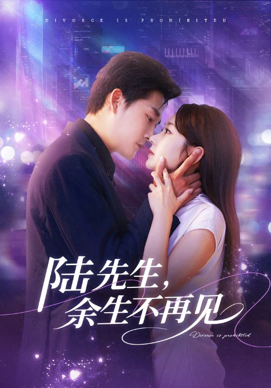 陆先生，余生不再见 高清封面