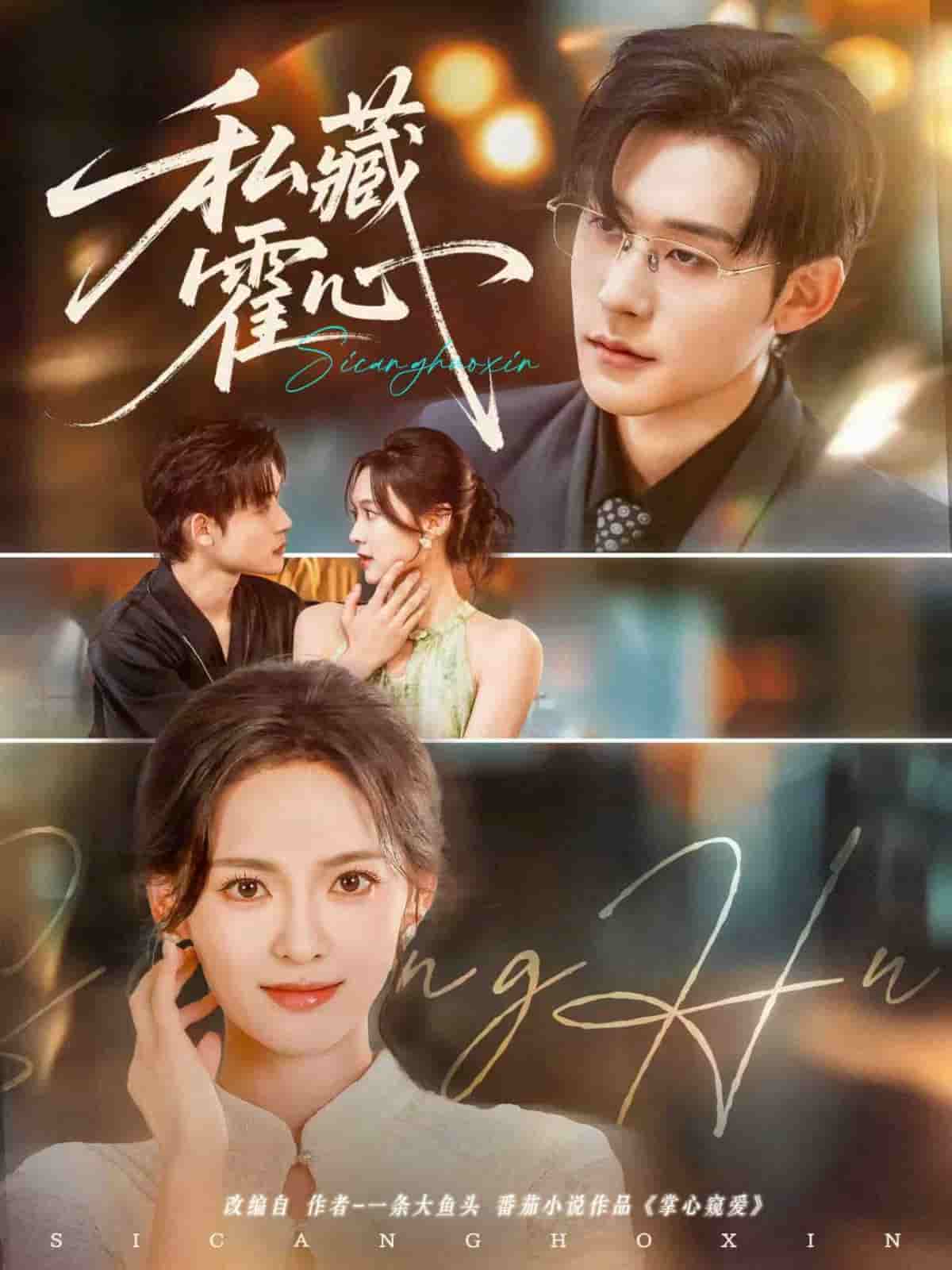 私藏霍心 高清封面