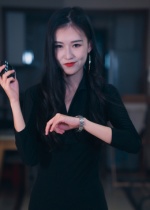 制裁者的游戏 高清封面