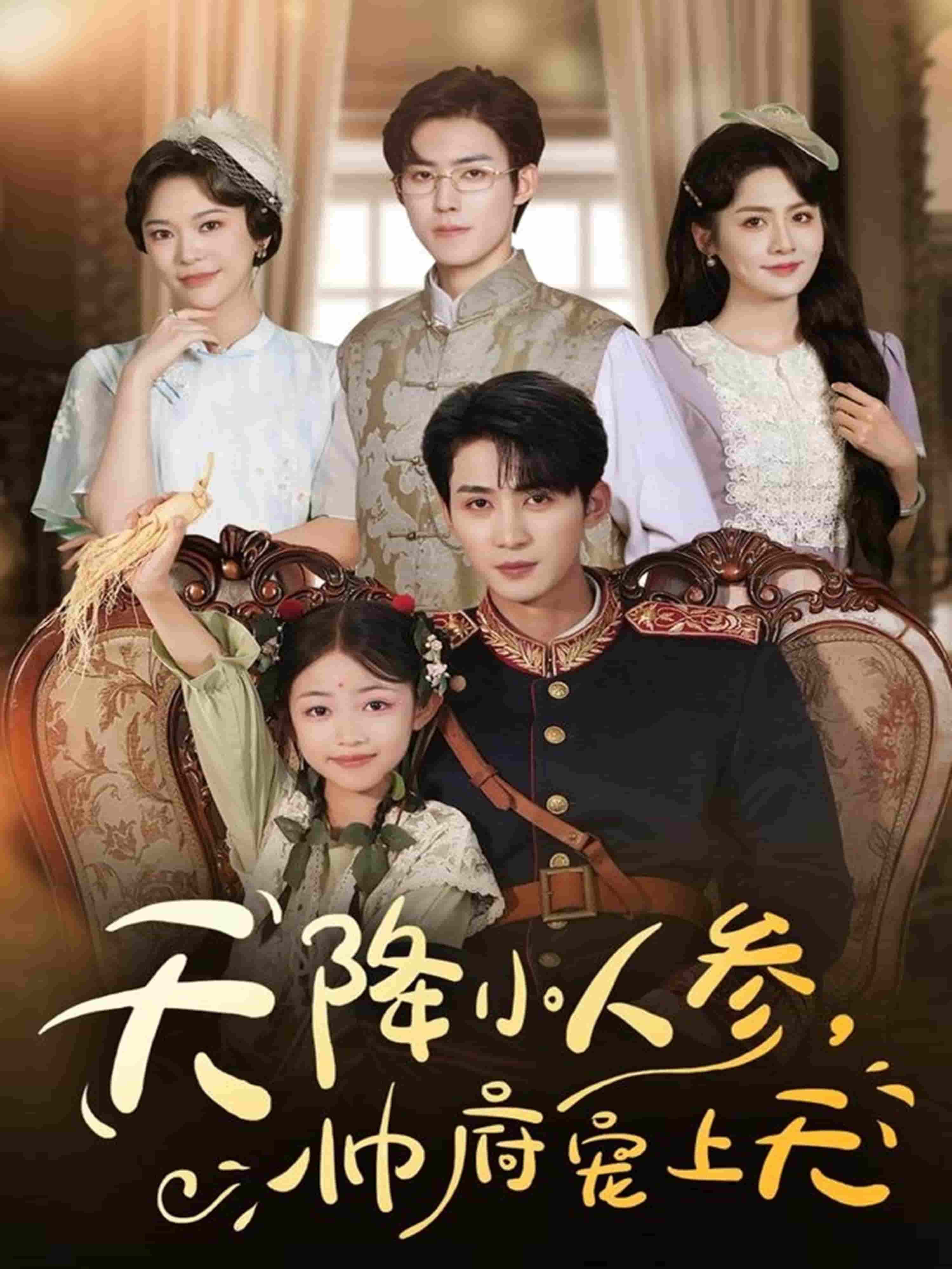 天降小人参，帅府宠上天 高清封面