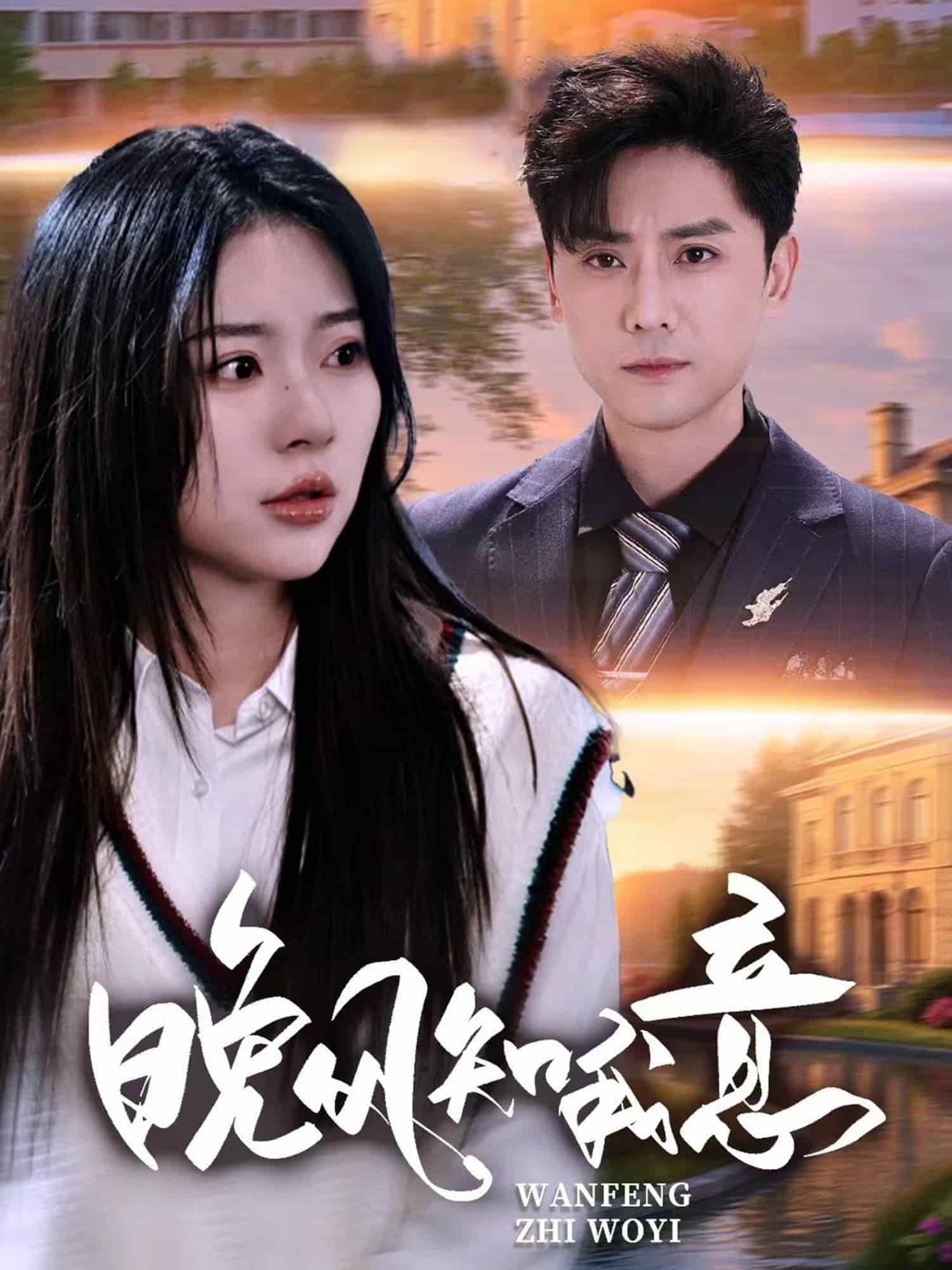 晚风知我意 高清封面