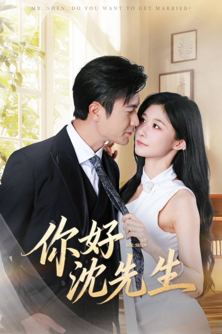 你好沈先生 高清封面